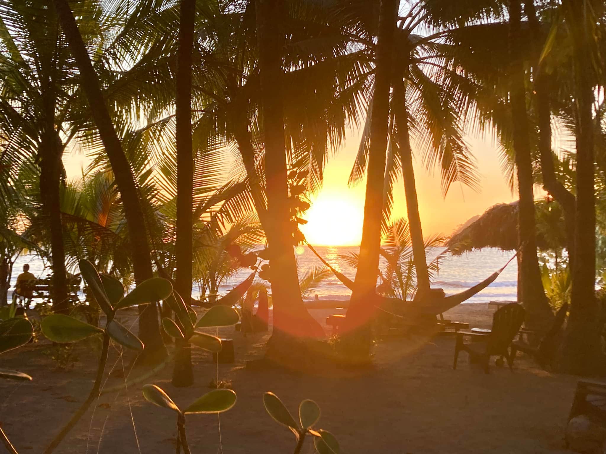 Fenix Hotel — sunset through palms over Sámara beach