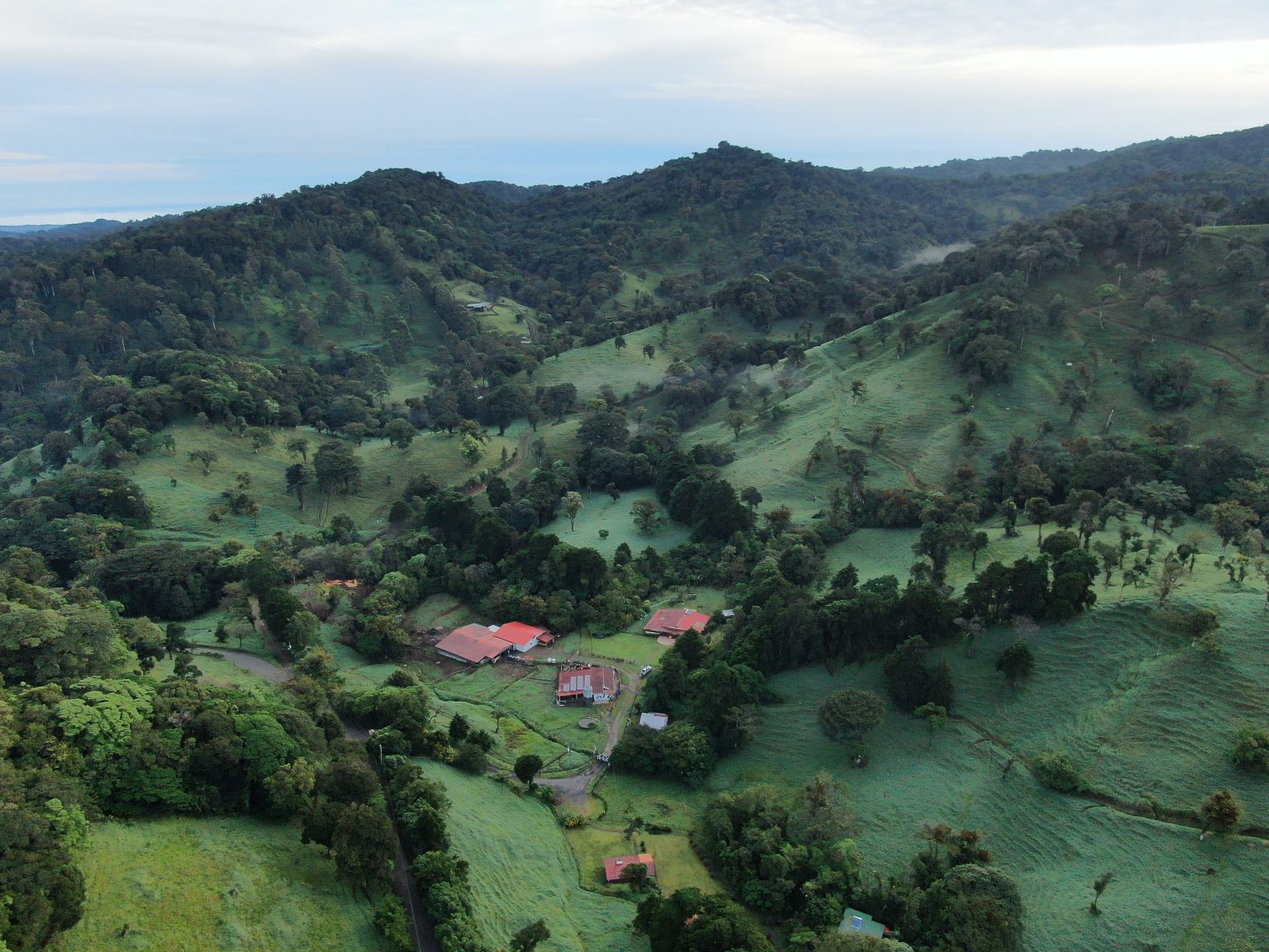 Finca Terra Viva — working farm-stay above Monteverde's cloud forest